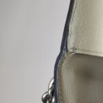 Gucci Dionysus — фото 20