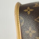 Louis Vuitton Diane Monogram — фото 13