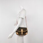 Louis Vuitton Diane Monogram — миниатюра 1