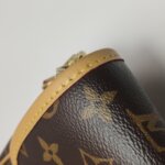 Louis Vuitton Diane Monogram — фото 20