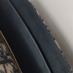 Dior 30 Montaigne Oblique CD — фото 10