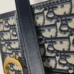 Dior 30 Montaigne Oblique CD (Диор) — фото 11
