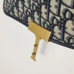 Dior 30 Montaigne Oblique CD (Диор) — фото 14