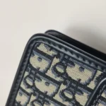 Dior 30 Montaigne Oblique CD (Диор) — фото 19