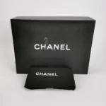 Chanel 19 Bag (Шанель) — фото 9