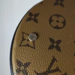Louis Vuitton Cannes Reverse (Луи Виттон) — фото 15