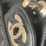 Chanel Classic Flap (Шанель) — фото 18