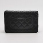 Chanel C woc — фото 5