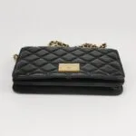 Chanel Logo WOC — фото 6