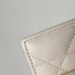 Dior Caro — фото 18