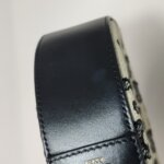 Celine Triomphe — фото 15