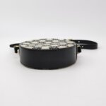 Celine Triomphe — фото 6