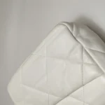 Chanel 19 Bag (Шанель) — фото 13