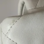 Chanel 19 Bag (Шанель) — фото 16