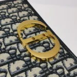 Dior 30 Montaigne Oblique CD (Диор) — фото 12