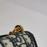 Dior 30 Montaigne Oblique CD (Диор) — фото 14