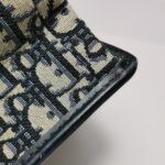 Dior 30 Montaigne Oblique CD — фото 18