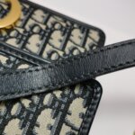 Dior 30 Montaigne Oblique CD — фото 23