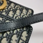 Dior 30 Montaigne Oblique CD (Диор) — фото 23