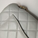 Chanel Classic Flap Mini — фото 18