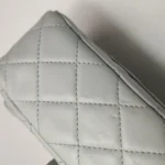 Chanel Classic Flap Mini (Шанель) — фото 20
