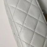 Chanel Classic Flap Mini (Шанель) — фото 26