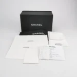Chanel Classic Flap Mini (Шанель) — фото 9