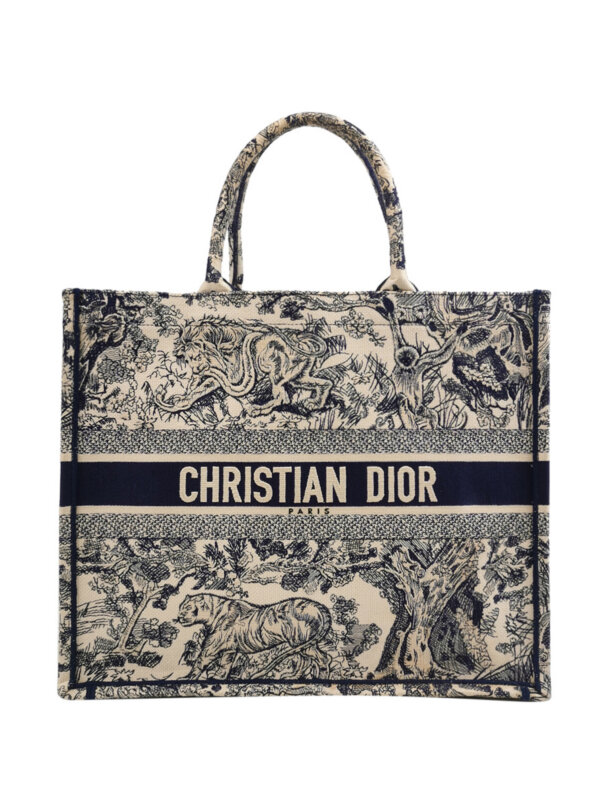Dior Book Tote