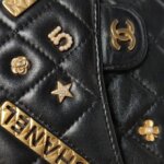 Chanel Lambskin Shoulder Bag — фото 19