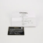 Chanel 19 Bag C — фото 9