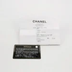Chanel 19 Bag (Шанель) — фото 9