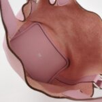 Hermès Clemence — фото 8