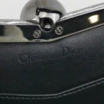 Dior Lizard Crossbody — фото 8