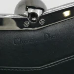 Dior Lizard Crossbody (Диор) — фото 8