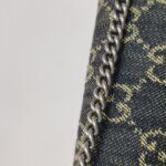 Gucci Dionysus — фото 13