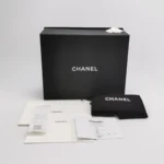 Chanel 19 Bag (Шанель) — фото 9