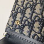 Dior Saddle Oblique — фото 15