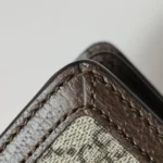 Gucci Ophidia GGG (Гуччи) — фото 15