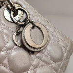 Dior Lady Dior Logo — фото 14