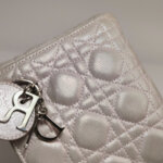 Dior Lady Dior Logo — фото 20