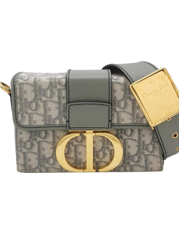 Dior 30 Montaigne Mini Oblique CD — продано