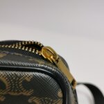 Celine Triomphe logo — фото 11