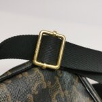 Celine Triomphe logo — фото 13