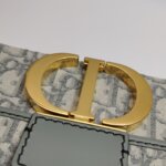 Dior 30 Montaigne Mini Oblique CD — фото 13