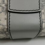 Dior 30 Montaigne Mini Oblique CD — фото 17