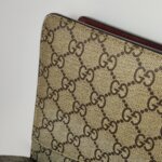 Gucci Dionysus — фото 18