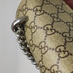 Gucci Dionysus — фото 19