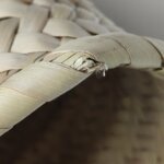 Celine TRIOMPHE CLASSIC Logo — фото 12