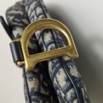 Dior Saddle Oblique — фото 10