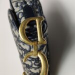 Dior Saddle Oblique — фото 11